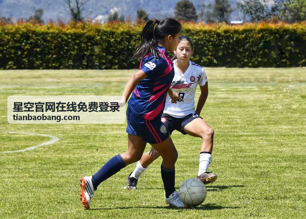 星空官网在线免费登录账号同步设置的示意界面